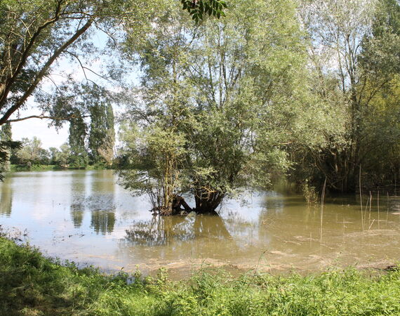 Croisy - NIEUW - € 214.000