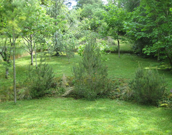 Château sur Allier - NIEUW - € 171.200
