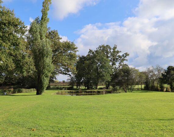 Ainay-le-Château - NIEUW - € 240.750