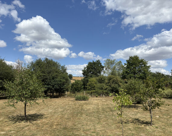 Buxières-les-Mines - NIEUW - € 160.500