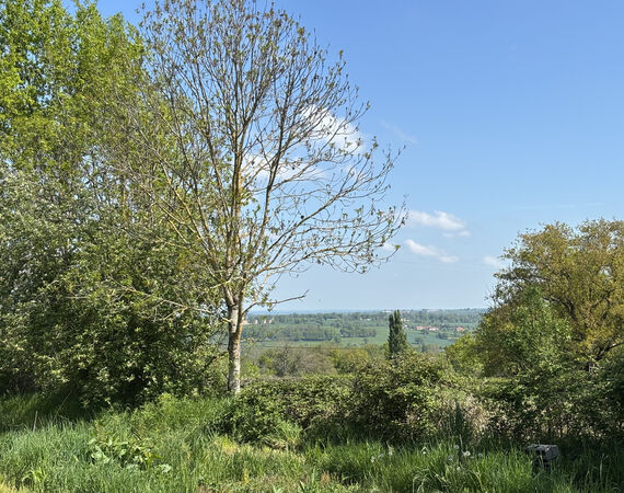 Louroux de Beaune - NIEUW - €197.950