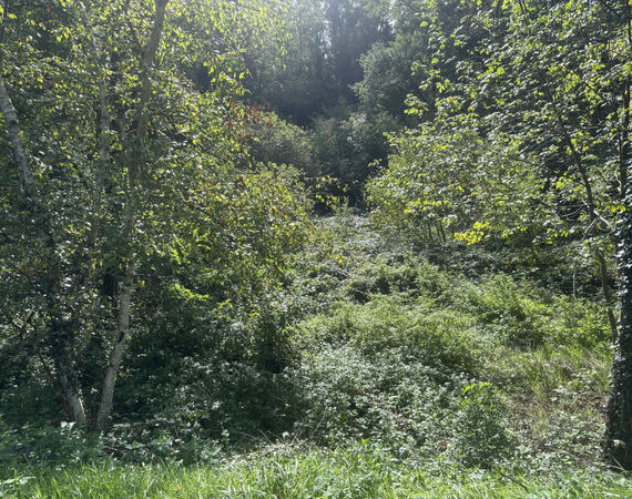 Bellenaves - NIEUW - € 118.800