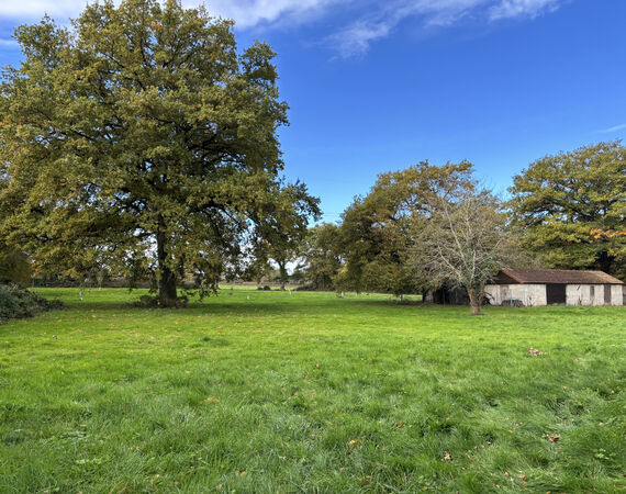 Couleuvre - NIEUW € 164.300