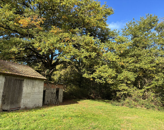 Couleuvre - NIEUW € 164.300