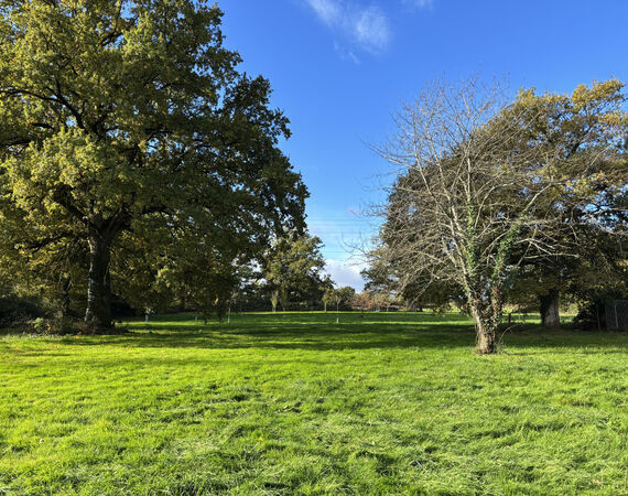 Couleuvre - NIEUW € 164.300