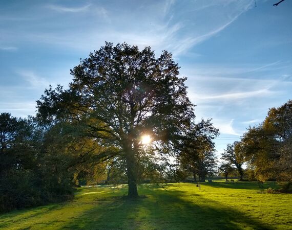 Couleuvre - NIEUW € 164.300