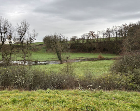 Le Breuil - NIEUW - € 148.400