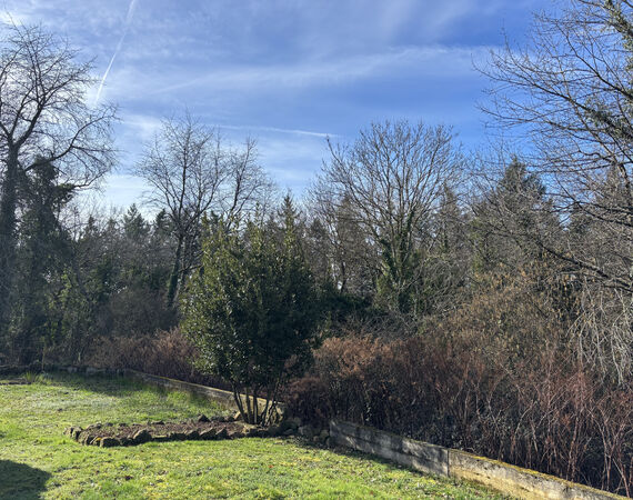 Montvicq - NIEUW - € 208.290