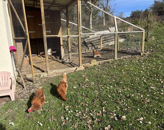 Montvicq - NIEUW - € 208.290