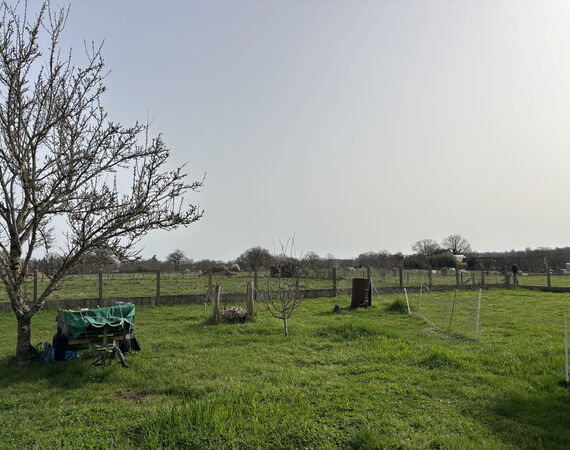 Vicq Exemplet - NIEUW - € 91.800