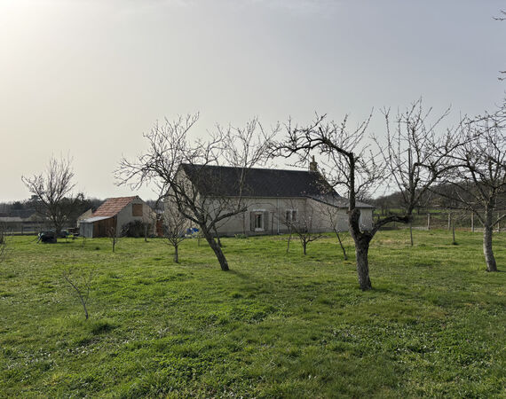 Vicq Exemplet - NIEUW - € 91.800