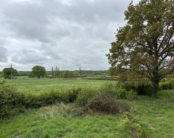 Vieure - NIEUW - € 96.300