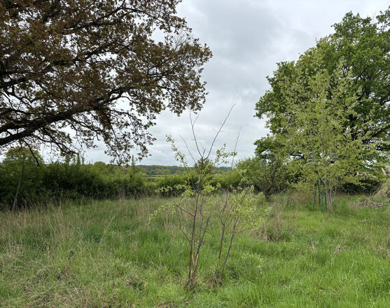 Vieure - NIEUW - € 96.300