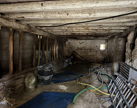 Beddes - NIEUW - Prijs €198.750