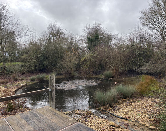 Beddes - NIEUW - Prijs €198.750