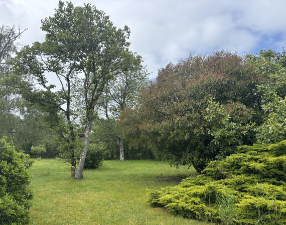 Neuvy-le-Barrois - NIEUW - € 153.000