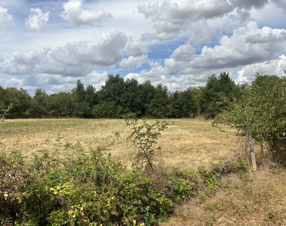 Maisonnais - NIEUW - € 236.000