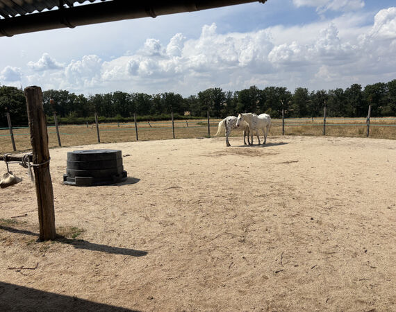 Cerilly - NIEUW - € 159.000