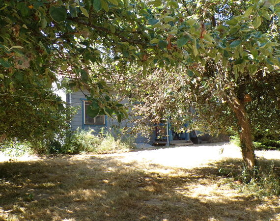 St Saturnin - Onder bod - € 117.700