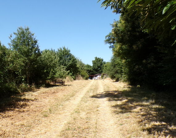 St Saturnin - Onder bod - € 117.700