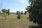 Villefranche D'Allier - NIEUW € 239.000